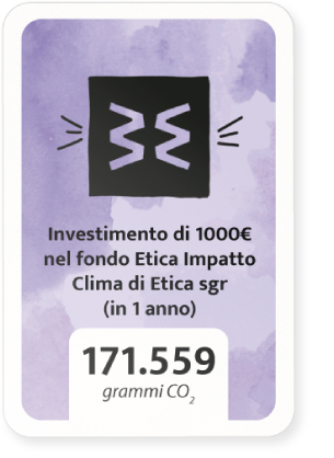Investimento di 1000 euro
